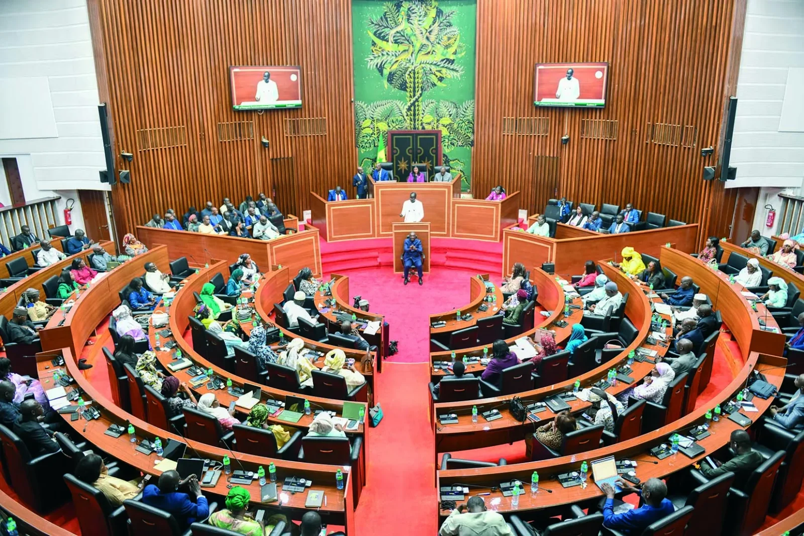 Daouda-Ngom-assemblee